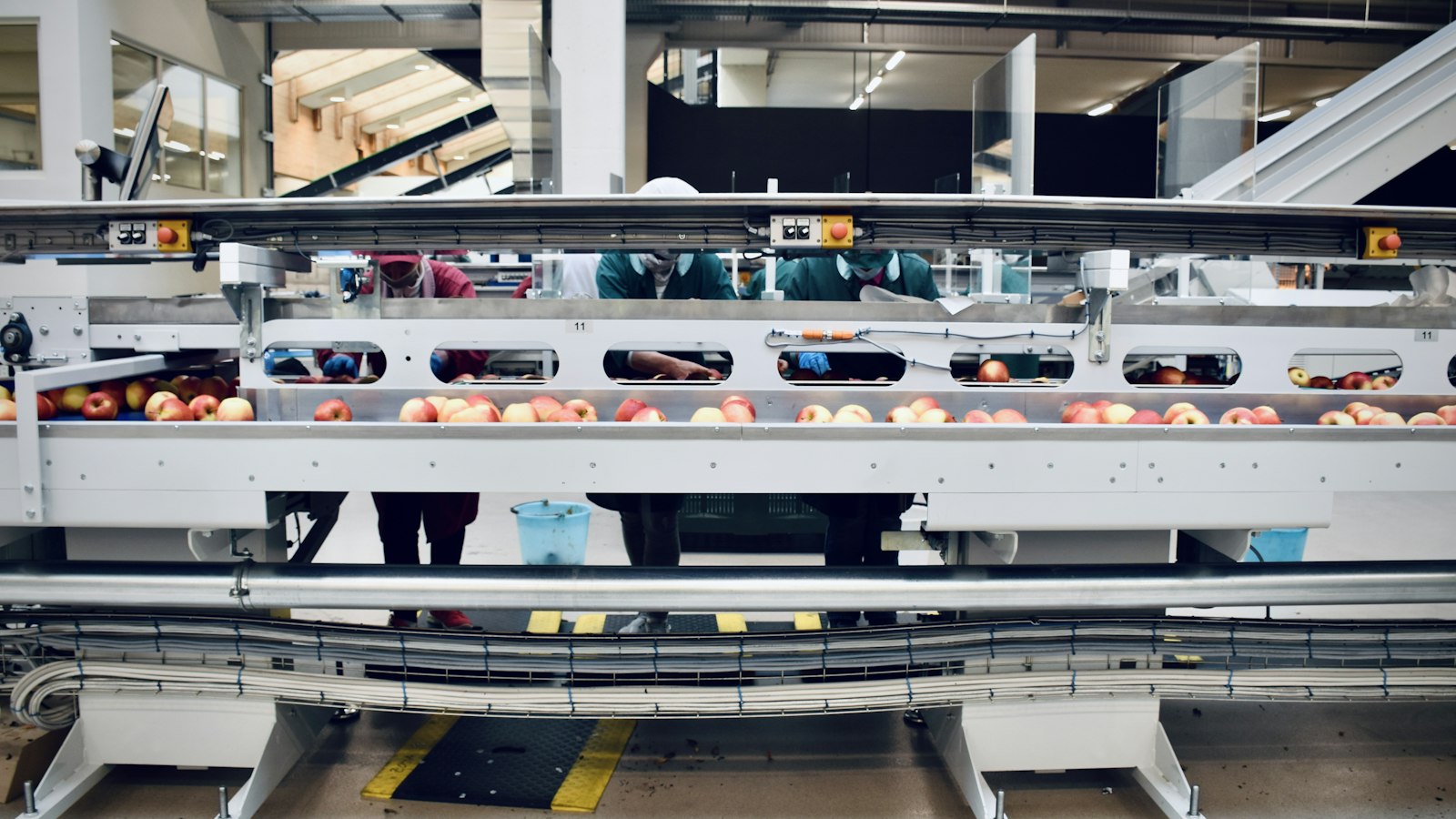 Kartons auf einem Förderband in einer automatisierten Logistikhalle